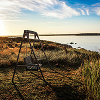 在线手机号压力测试