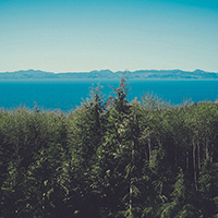 手机号验证码轰炸免费